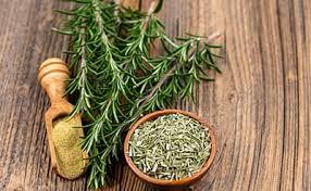 Rosemary Oil