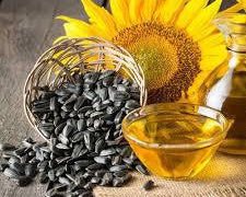 Sunflower Oil